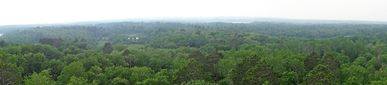 view from The top of the Aiton Heights Fire Tower 